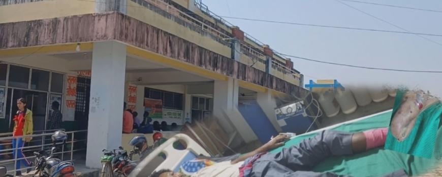 सर्पदँश उपचार केन्द्र बनियानी अन्तर्राष्ट्रिय रुपमा समेत परिचित केन्द्र : गोमन सर्पको डसाईबाट ४६ वर्षीय पुरुषको जीवनरक्षा